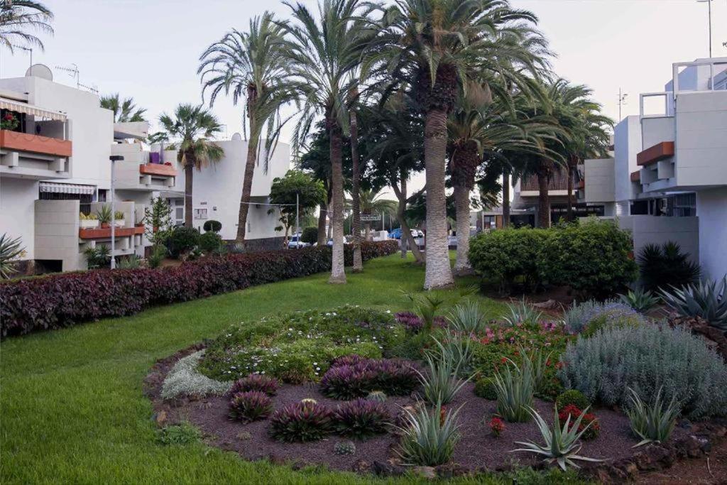Tenerife Primavera อาโรนา ภายนอก รูปภาพ